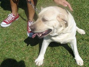 Imagem de: 