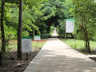 Parque Ecológico Taboão Foto de Parque Ecológico Taboão