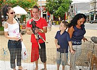 Centro de Zoonoses doa 35 animais em feira