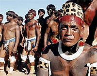 Dados dos índios no Brasil