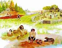 A história da agricultura