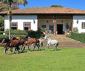 Papai Noel chega de charrete no Natal da Fazenda Capoava