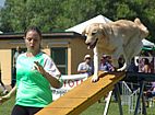 Imagem de: Uma atividade pra l� de animal: o Agility une sa�de ao lazer