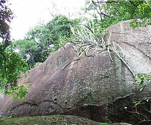 Itu possui a sexta maior caverna de granito do mundo