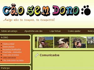 Web do Bem: Cão sem Dono