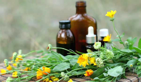 Homeopatia: um presente da natureza para a saúde 