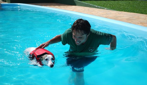 Clube de Cãompo oferece natação para cães como alternativa no verão