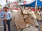 Imagem de: Tradicional Desfile do Divino acontece no dia 26 de maio