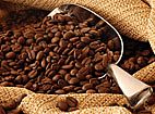Imagem de: Fazenda Bela Vista promove passeio "Do Cafezal ao Cafezinho"