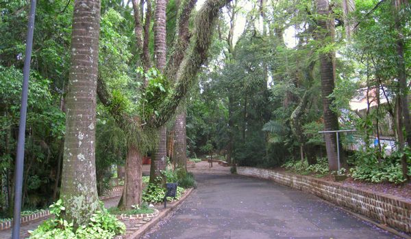 "Caminhada Poética" acontece neste sábado no Bosque dos Jequitibás