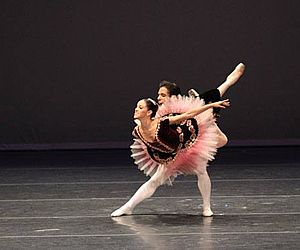 Indaiatuba recebe 22ª edição da competição de dança Passo de Arte 