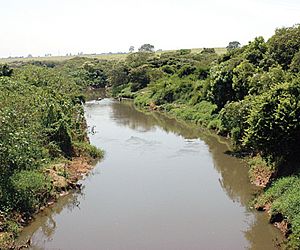 Reenquadramento do Rio Jundiaí é aprovado por conselho estadual 