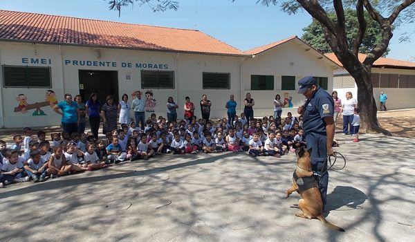 Canil Municipal realiza apresentações para crianças em Itu 