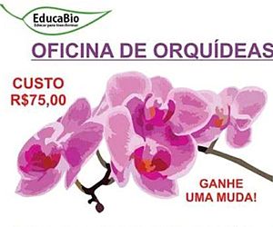 Bosque Alceu Geribello sedia Oficina de Orquídeas 