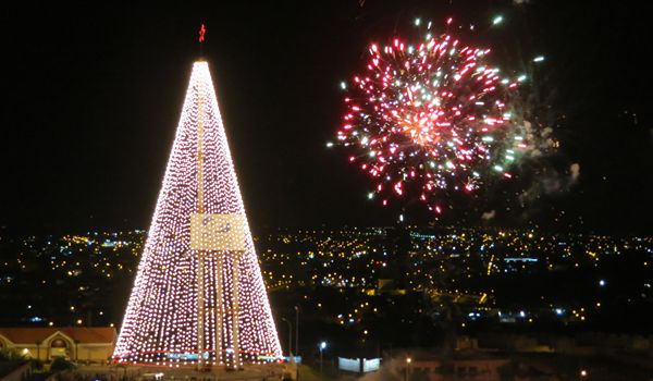 Árvore Gigante do Plaza Shopping Itu ilumina Natal da cidade