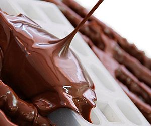 Passeios da Fazenda do Chocolate ganham valores promocionais