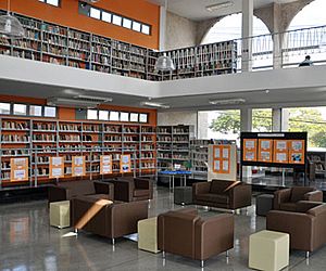 Biblioteca disponibiliza mais de mil títulos de e-books gratuitos