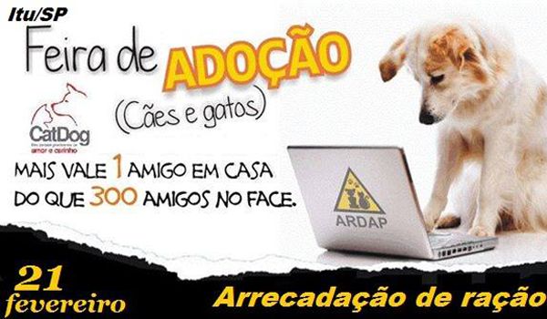 Nova feira de adoção de animais da CatDog será realizada neste sábado