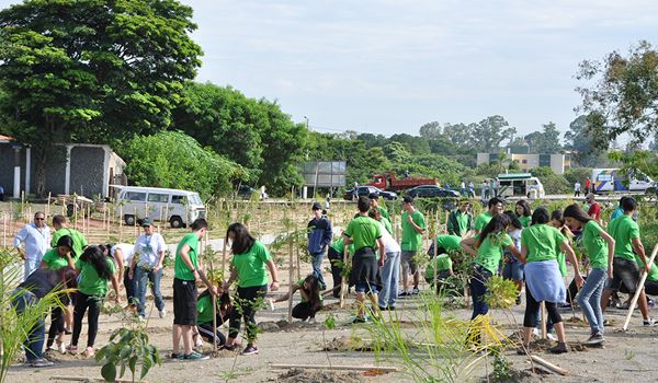 Futuros parques ecológicos de Itu recebem plantio de mudas