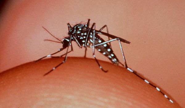 Sobe para 146 o número de casos autóctones de dengue em Itu neste ano
