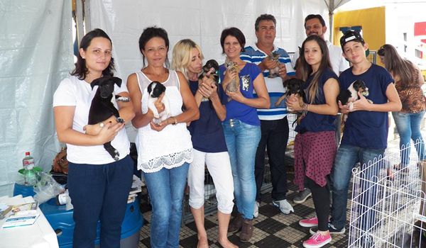 Feira de adoção de cães e gatos é realizada em Porto Feliz