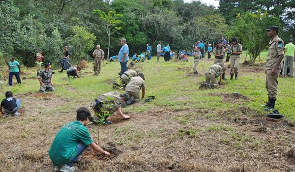 Prefeitura e Instituto Refloresta realizam plantio de árvores
