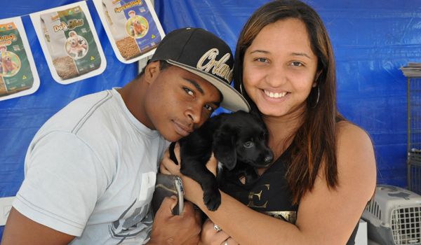 Porto Feliz realiza nova Feira de Adoção de Cães