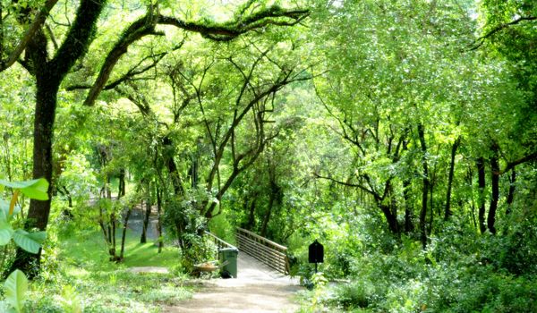 Bosque do Saber realiza 38º Domingo Ecológico com Feira de Ciências