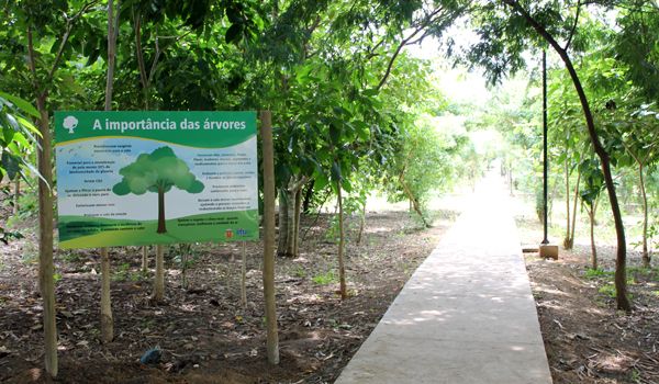 Secretaria de Meio Ambiente oferece atividades gratuitas no Taboão