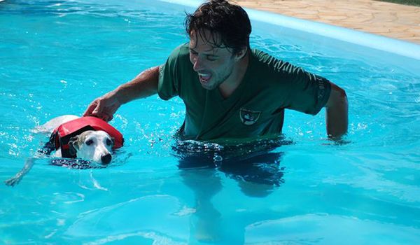Dog Spa: atividades físicas auxiliam no combate ao sobrepeso de cães