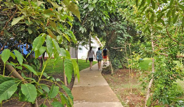 "Domingo no Parque" retorna atividades ambientais neste fim de semana