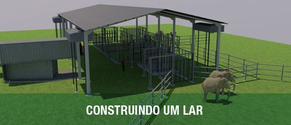 Financiamento coletivo busca construir Santuário de Elefantes Brasil