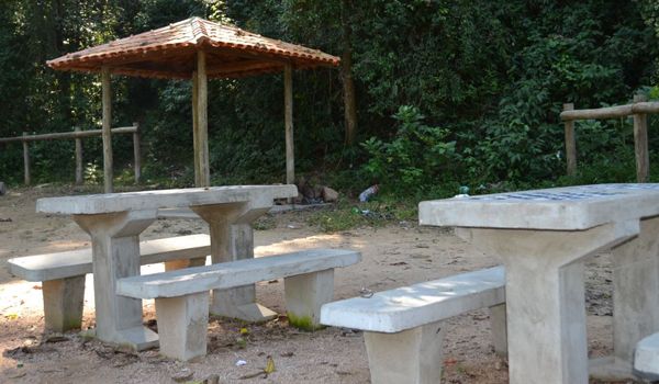 Estrada Parque passa por revitalização e recapeamento