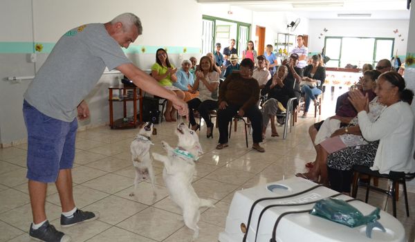 Hotel para cães leva animais para interagirem com idosos do Quero Vida