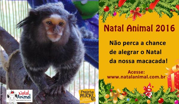 Projeto Mucky participa da campanha "Natal Animal" 2016