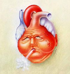 A importância da avaliação cardiológica prévia
