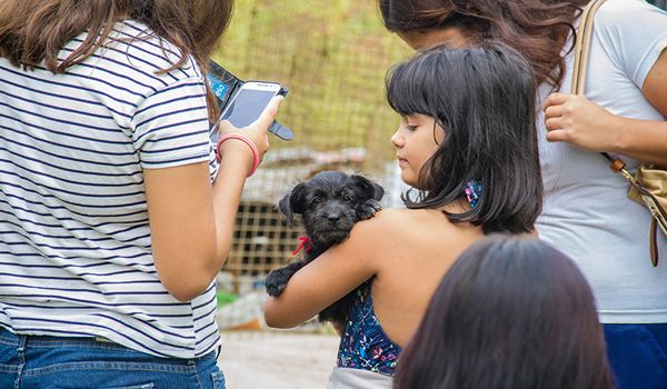 Campanha de adoção da CCZ de Itu doa 21 animais