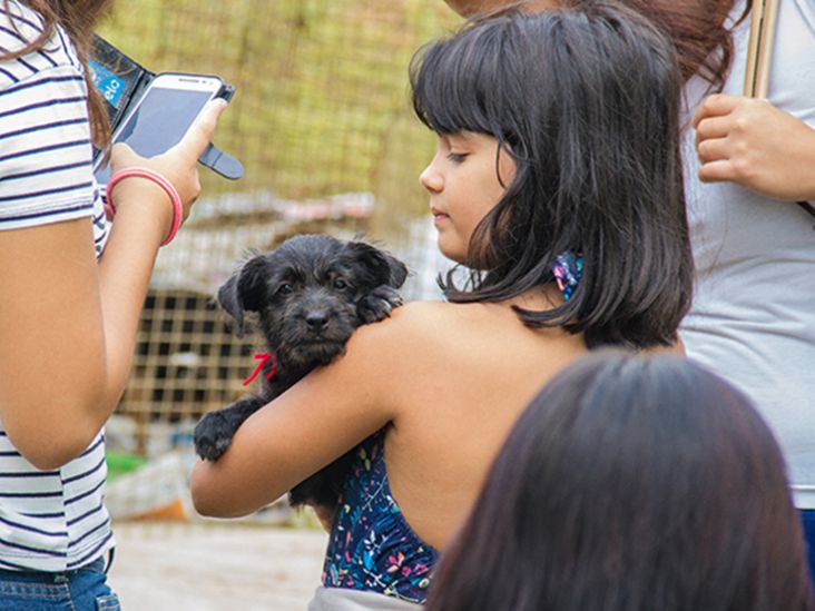 CCZ de Itu promove nova campanha de adoção de animais