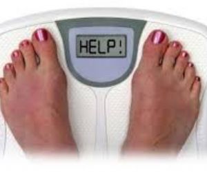 Disbiose  X aumento de gordura corporal