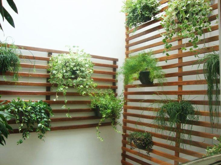 Pequenos jardins: traga a natureza para dentro de sua casa