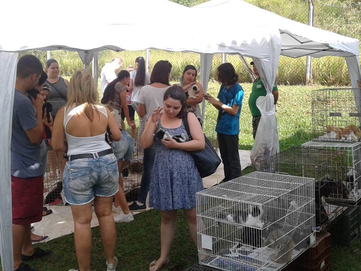 CCZ promove Campanha de Adoção e Doação de Animais neste sábado