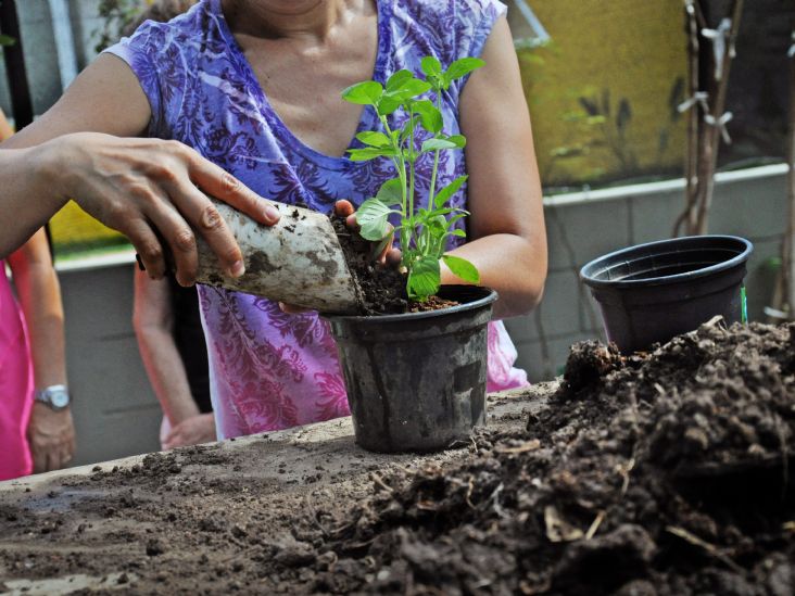 Semana do Meio Ambiente 2017 começa na próxima segunda-feira