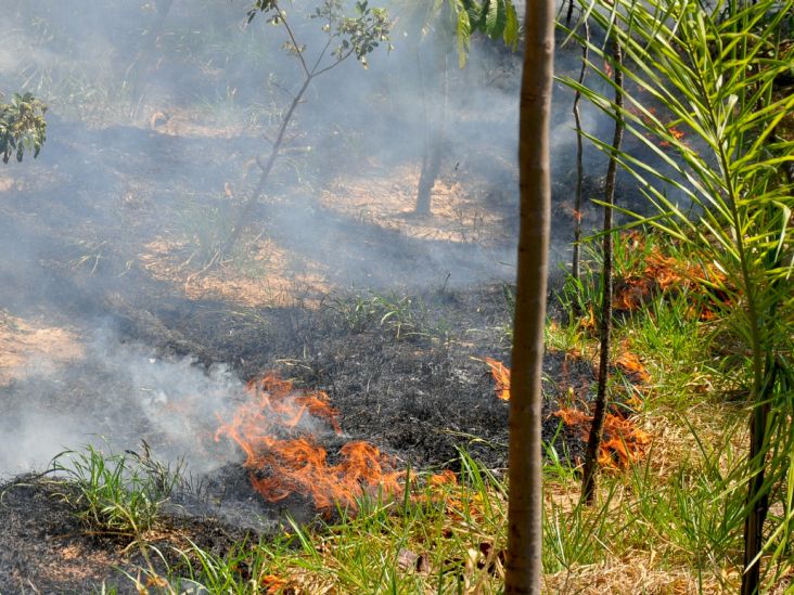 Prefeitura intensifica fiscalização ambiental em Itu