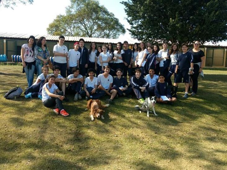 Alunos do Colégio Almeida Jr desenvolvem novo projeto sobre animais