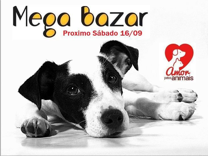 Mega Bazar em prol dos animais ocorre em Itu neste sábado