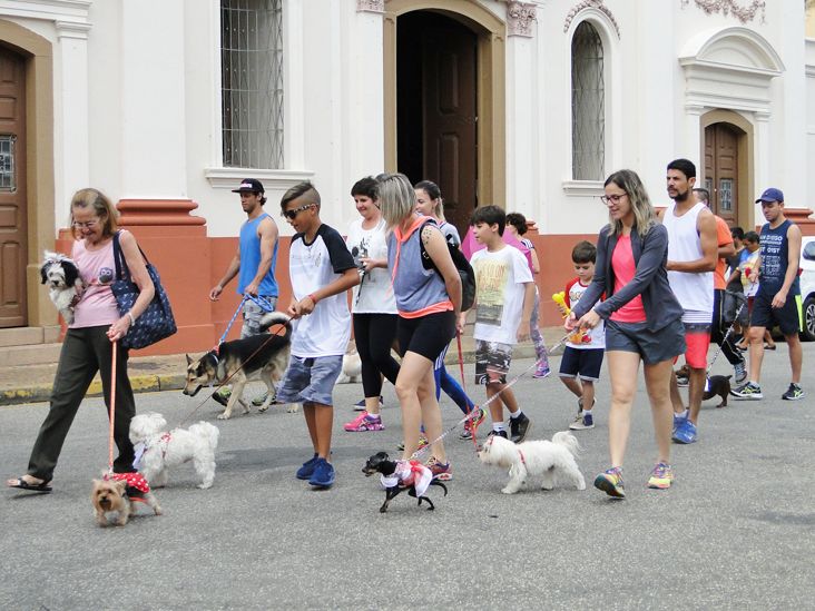 8ª Cãominhada leva dezenas de pessoas às ruas de Itu