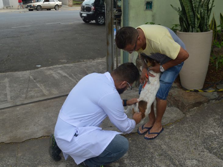 Vacinação contra Raiva em Salto ocorre em postos volantes em dezembro