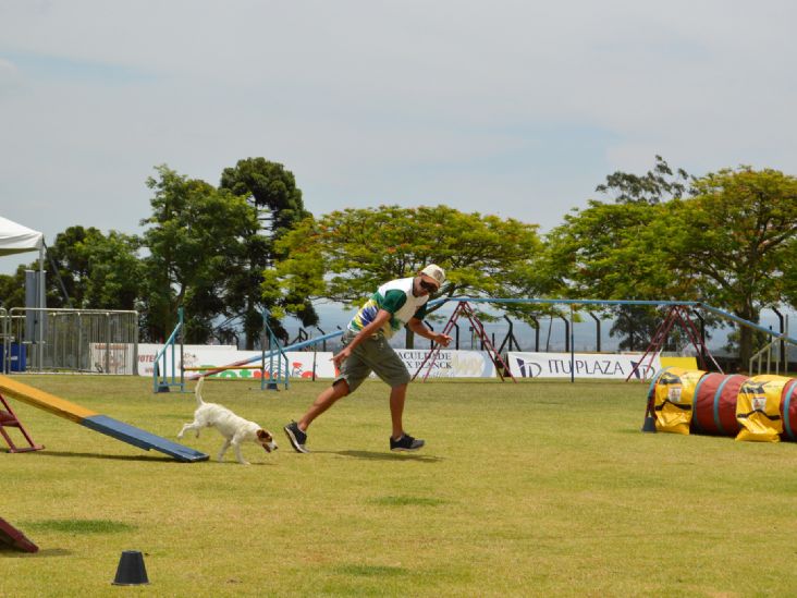 7ª etapa da X Copa Paulista de Agility movimenta o Clube de Cãompo