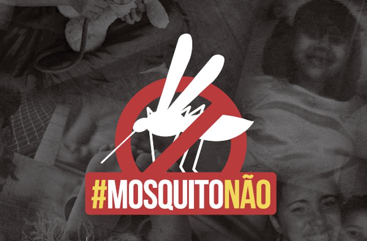 Aedes aegypti - Evite a proliferação do mosquito neste verão