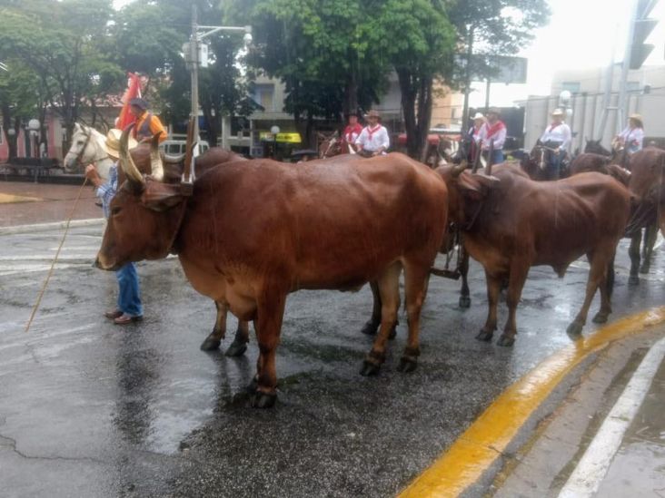 Chuva forte cancela tradicional Desfile do Divino em Itu
